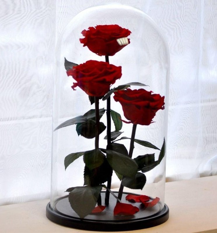 тройная вечная роза тройная вечная роза фото