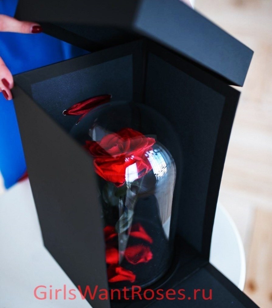 вечная роза в подарочной коробке вечная роза в подарочной коробке фото